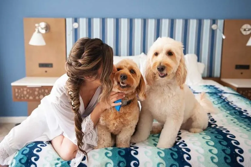 Bride relaxing with her dogs on the bed